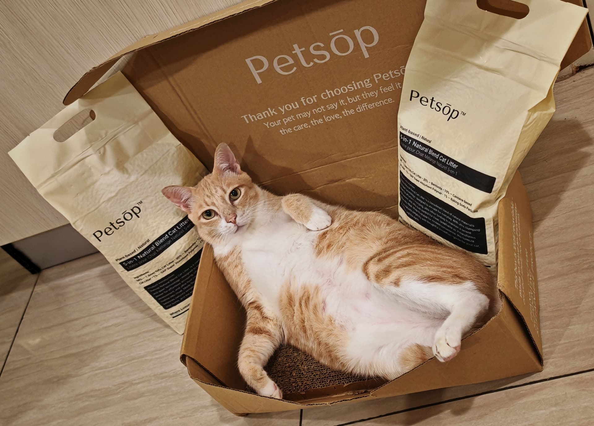 Descriptive text about the image